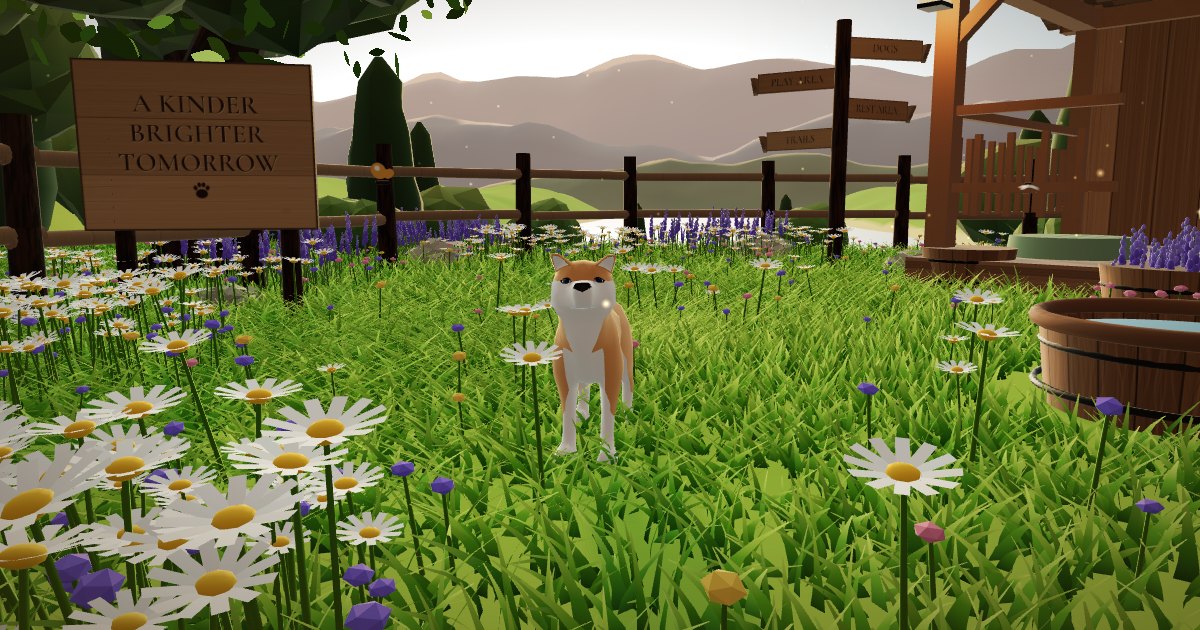 A preview of the sanctuary: a dog in a sunlit garden courtyard beside a timber shelter.